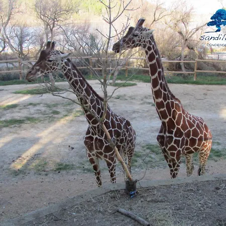 Mobilhome Cote - 3 - Climatise - Tv Κάμπινγκ *